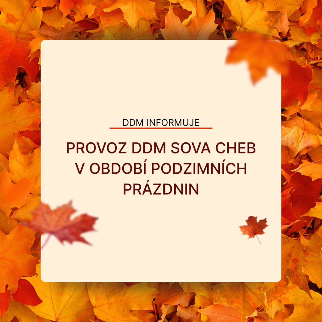 Provoz DDM Sova Cheb - podzimní prázdniny