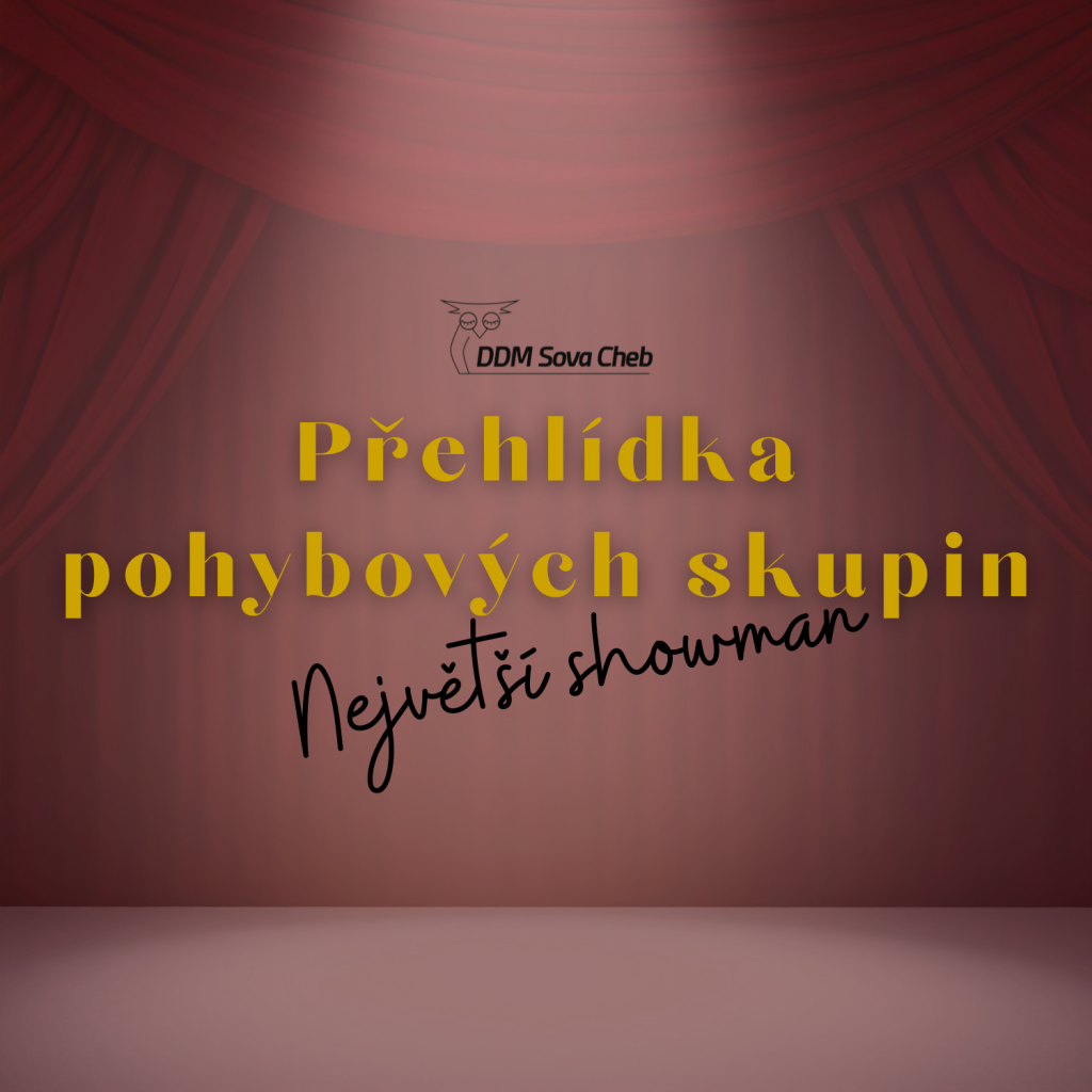 PŘEHLÍDKA POHYBOVÝCH SKUPIN